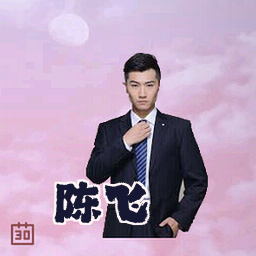 陈飞